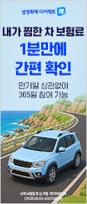 삼성화재 애니카 다이렉트